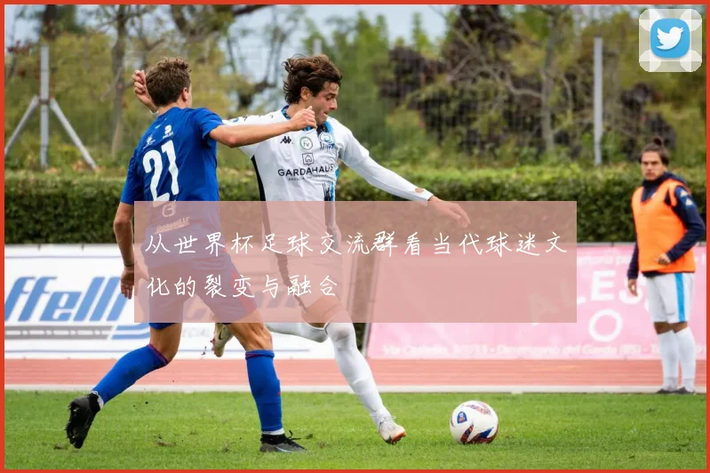 从世界杯足球交流群看当代球迷文化的裂变与融合