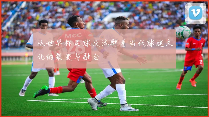 从世界杯足球交流群看当代球迷文化的裂变与融合