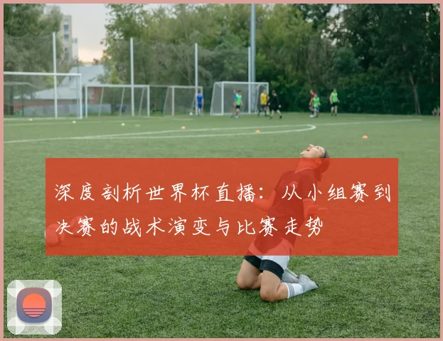 深度剖析世界杯直播:从小组赛到决赛的战术演变与比赛走势