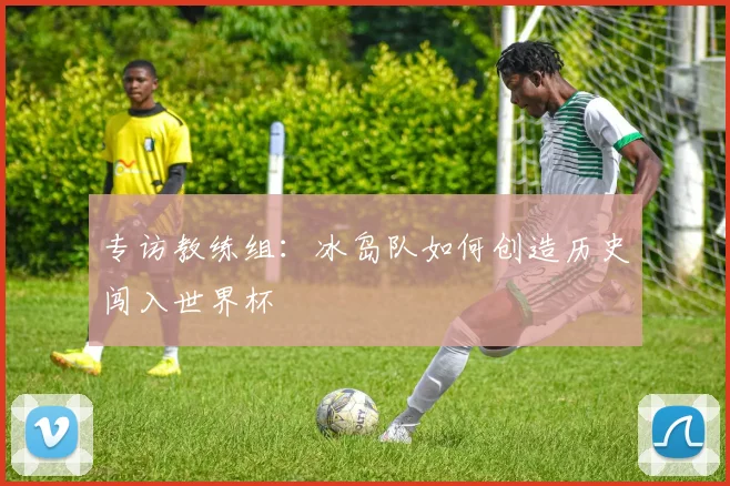 专访教练组：冰岛队如何创造历史闯入世界杯
